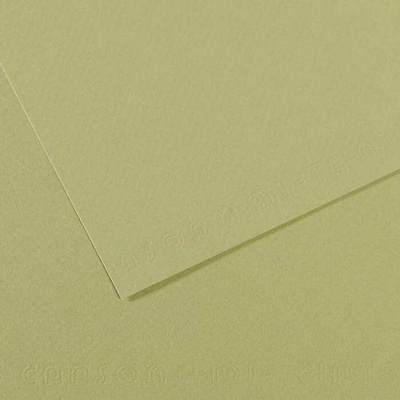 Canson Tónovaný papier Mi-Teintes 50 x 65 cm 160 g/m²Svetlozelená 480