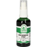 Gall Pharma Уринарен тракт - Бяла бреза (кора), 50 ml, спрей (4443591)