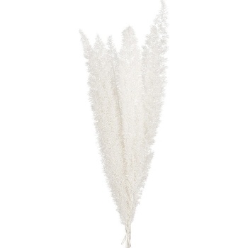 Foxtail