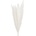 Foxtail