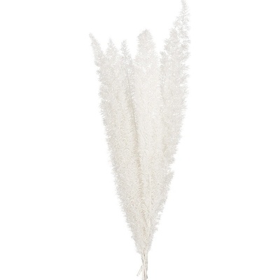 Foxtail