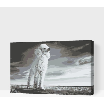 Vymalujsisam.cz Malování podle čísel Pudl Velikost 40 x 60 cm Rámování Na kartonové desce