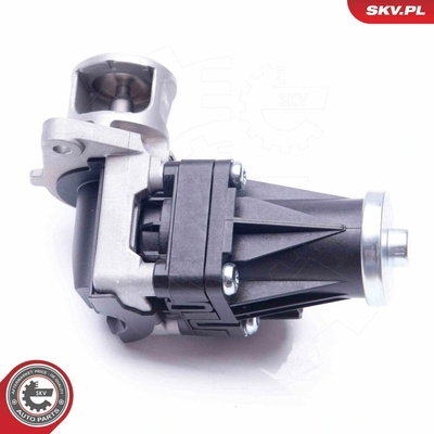 AGR-Ventil ESEN SKV 14SKV159
