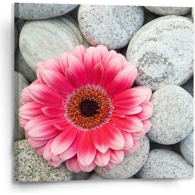 Sablio Obraz Gerbera na kamenech - 110x110 cm