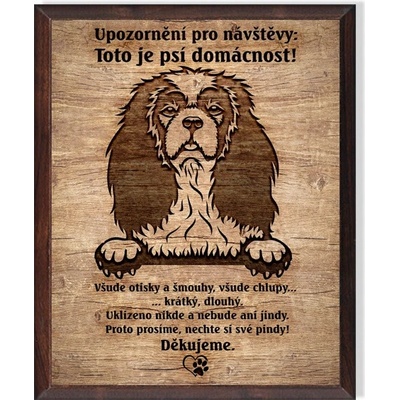 Cedulky sport hobby Obrázek Kavalír King Charles španěl - Domácnost/OD7011