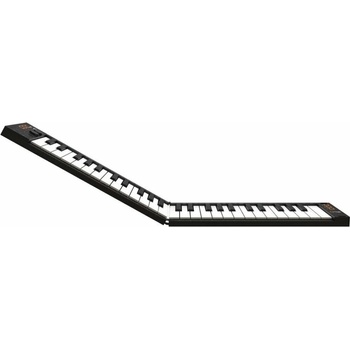 Image 1 of Carry-on Folding Controller 49