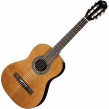 Tanglewood EM C2