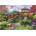 Educa - Puzzle Japanese Garden - 1 500 piese