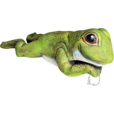 Žába do zahrady Lenoch