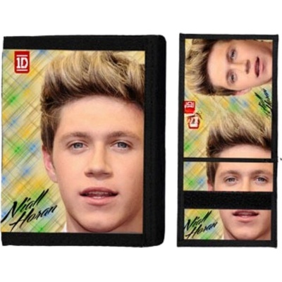 One Direction Niall Horan