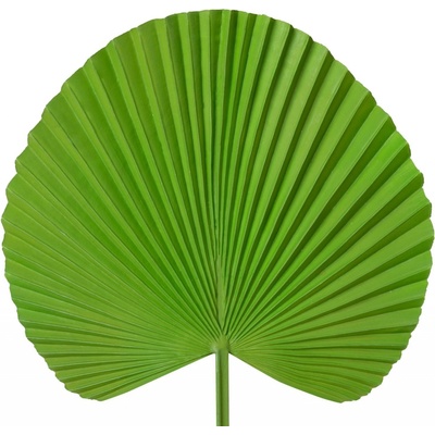 Dekoračný kvet , list 22 cm zelená