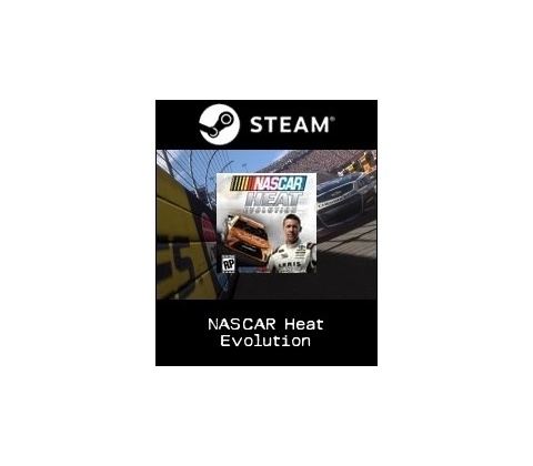 NASCAR Heat Evolution