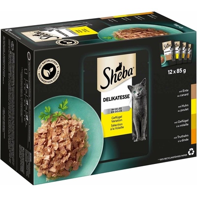 Sheba Delikatesse drůbeží maso v želé variace 12 × 85 g
