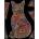 Stepp Velvet coloring page 47x35 Kitten