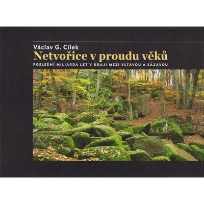Netvořice v proudu věků