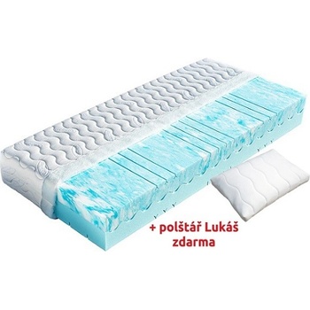 Dřevočal Atlanta