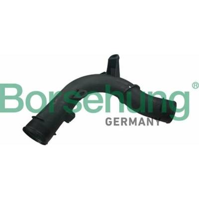 Hadica plniaceho vzduchu Borsehung B12351