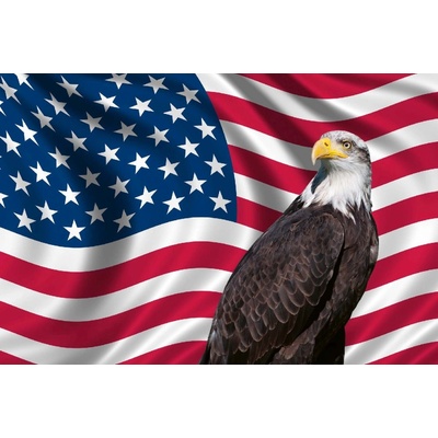 Dimex MS-5-2960 Vliesová fototapeta Vlastenecká vlajka USA rozměry 375 x 250 cm