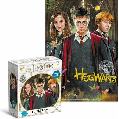 DODO Harry Potter Harry Ron a Hermiona 250 dielov
