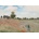 Bluebird Puzzle - Puzzle Claude Monet - Poppy Field, 1873 - 1 000 piese