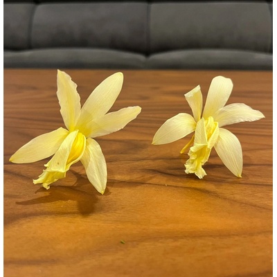 Stabilizované kvety Orchidea Cattleya - žlté Kus: 1