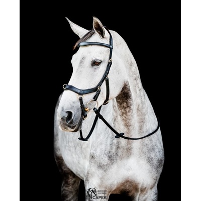 Horseware Micklem 2 Multi černá – Sleviste.cz