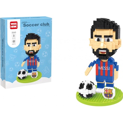 Wise Hawk Lionel Messi