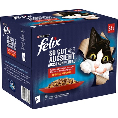 Felix Fantastic So gut... kuracie jahňacie hovädzie králičie 48 x 85 g