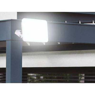 Nedes LF7121