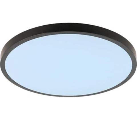 NEDES LCL554B