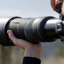 Image 1 of Canon RF 800mm f/11 IS STM (3987C005AA)