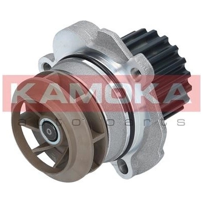 KAM-T0027