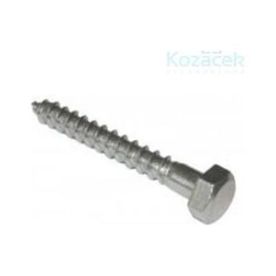 Skrutka do dreva DIN 571 8 x 60 ZB - balenie 200 ks