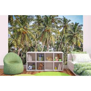 DIMEX ART Самозалепваща се флизелинова фототапета палма с кокос 375 x 250 см