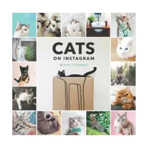 Cats On Instagram | @cats_of_instagram (2016)