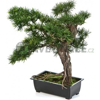 Umělá bonsaj pinus 38cm