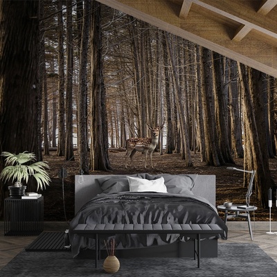 Art Gift Decor Фототапет Silent Woods