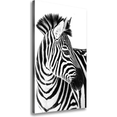 Vertikálny foto obraz na plátne Zebra na snehu 50x100 cm