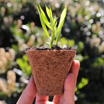 Videx Garden Videx Garden Kvetináč z kokosového vlákna Ø 8 cm, 4 ks
