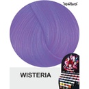 La Riché Directions Crazy barva na vlasy Wisteria 88 ml
