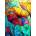 Enjoy - Puzzle Tropical Garden - 1 000 piese