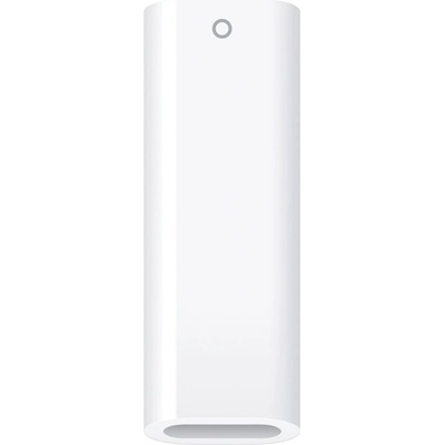 Apple USB-C to Apple Pencil Adapter (MWML3ZM/A)
