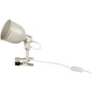 Image 1 of Rábalux Flint (3093)