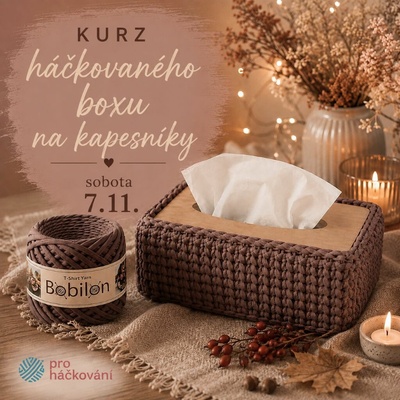Pro Háčkování Kurz háčkovaného boxu na kapesníky