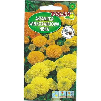 POLAN AKSAMIETNICA SEMENÁ KVETOV NÍZKA VEĽKOKVETÁ MIX 0,5 G