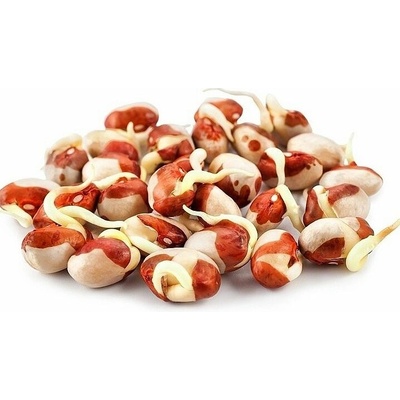 Microgreens, semínka na klíčky - Fazole adzuki 50g