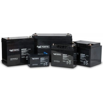 fgForte 12V 150Ah 6FG150