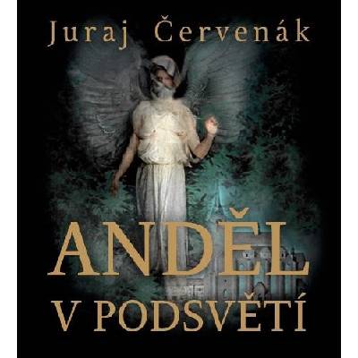 Anděl v podsvětí - Juraj Červenák