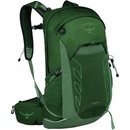 Osprey Talon 22l green canopy