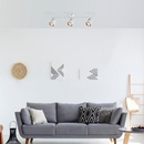 Image 1 of Rábalux Solange 5047